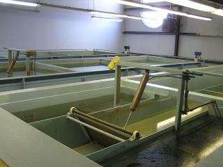 Water Treatment